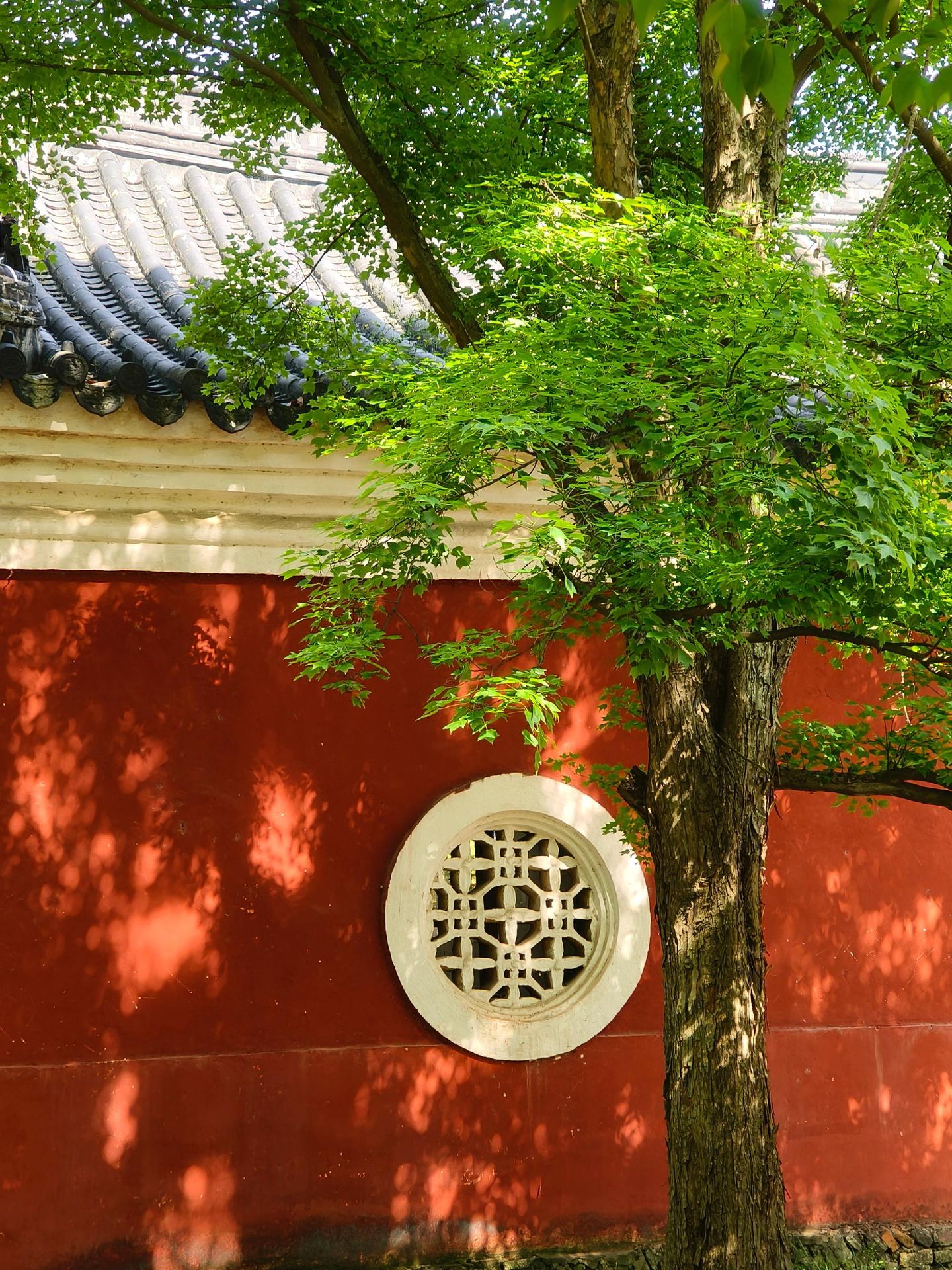 景色5